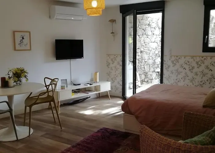 Studio En Rez De Jardin